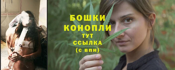 МДПВ Богородск