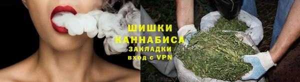 МДПВ Богородск
