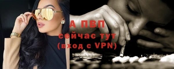 МДПВ Богданович
