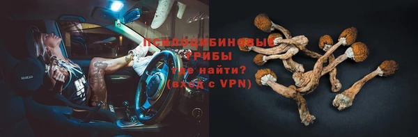 МДПВ Богданович