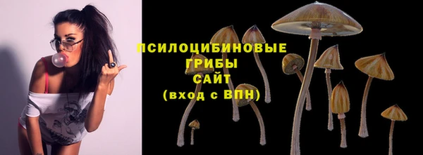 МДПВ Богданович