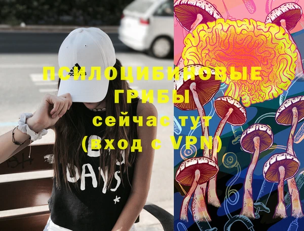 mix Богородицк