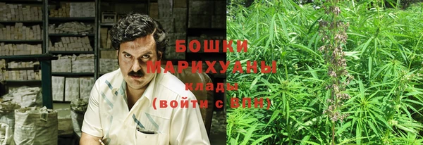 mix Богородицк