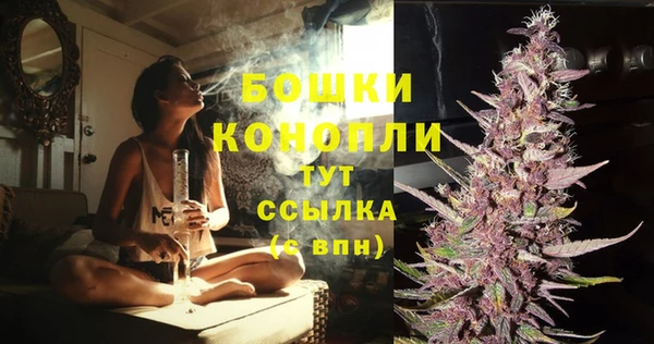 МДПВ Богданович