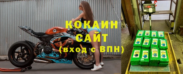 МДПВ Богородск