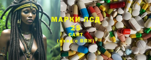 mix Богородицк