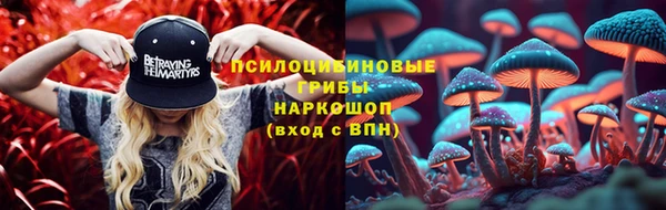 МДПВ Богданович